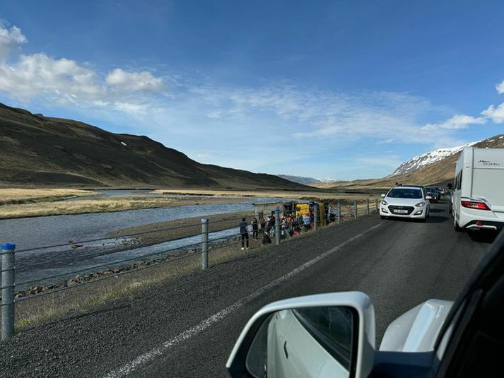 Allir 22 ferðamennirnir eru frá Tékklandi.