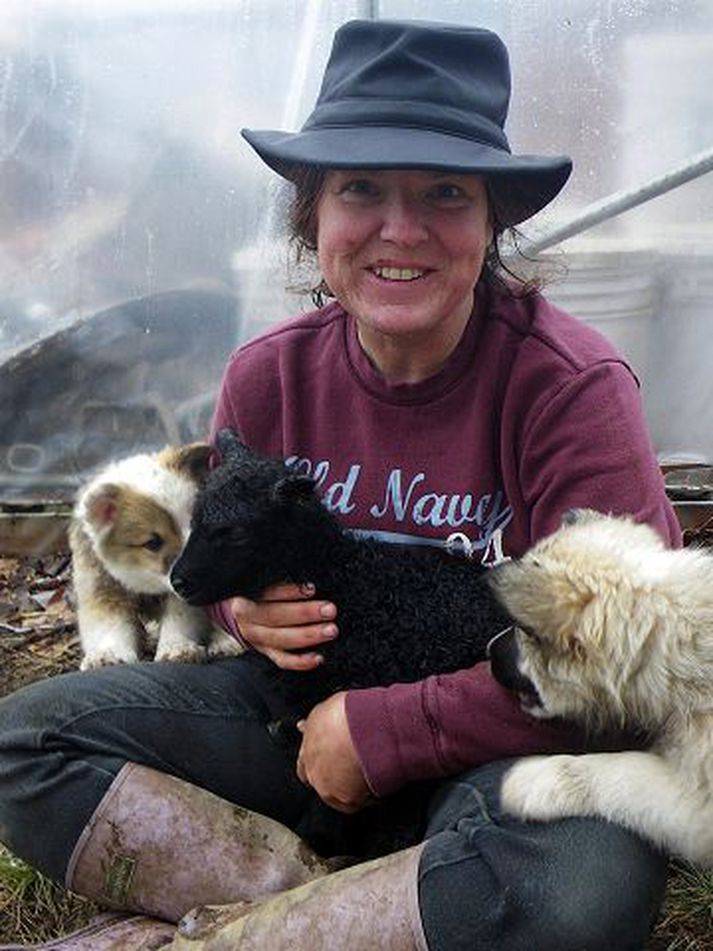 Lisa Richards með íslenskt lamb og hvolpa sem eru undan íslensku fjárhundunum Dísu og Bjarka.