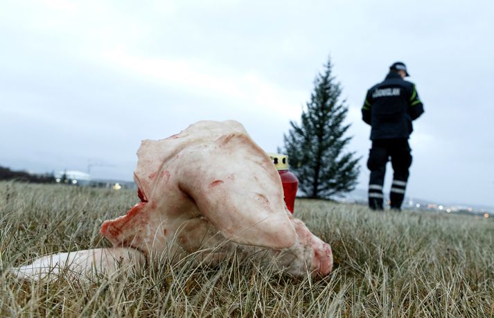 Lögreglumenn varðveittu ekki eintak af Kóraninum sem var komið fyrir ásamt svínshausum og svínslöppum á lóð Félags múslima á Íslandi á miðvikudag.