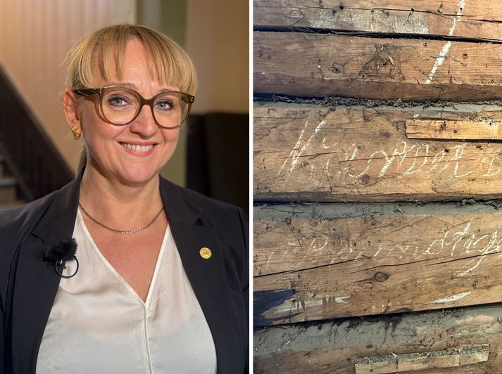 Sólveig guðrún Hannesdóttir rektor er með ýmsar getgátur varðandi merkingu skilaboðanna.