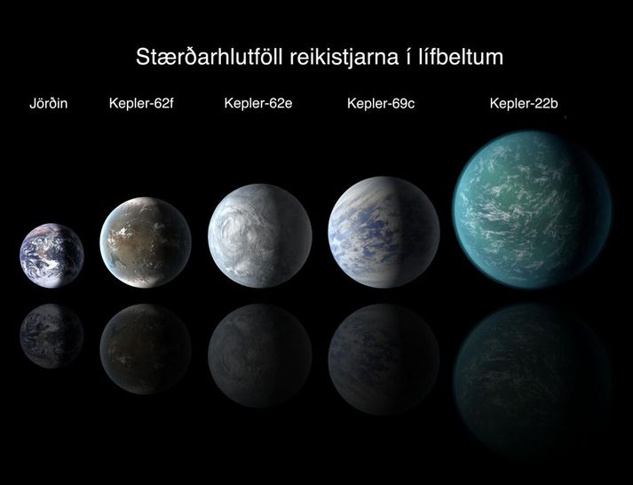 Stærðarhlutföll þekktra reikistjarna í lífbeltum sinna sólkerfa.