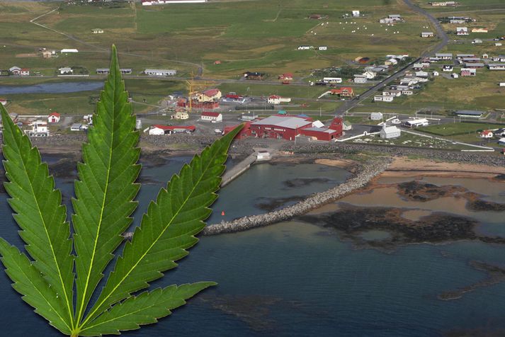 Stórfurðuleg forsaga máls sem leiddi til þess að lögreglan á Selfossi gerði upptækar rúmlega 20 kannabisplöntur á Stokkseyri.