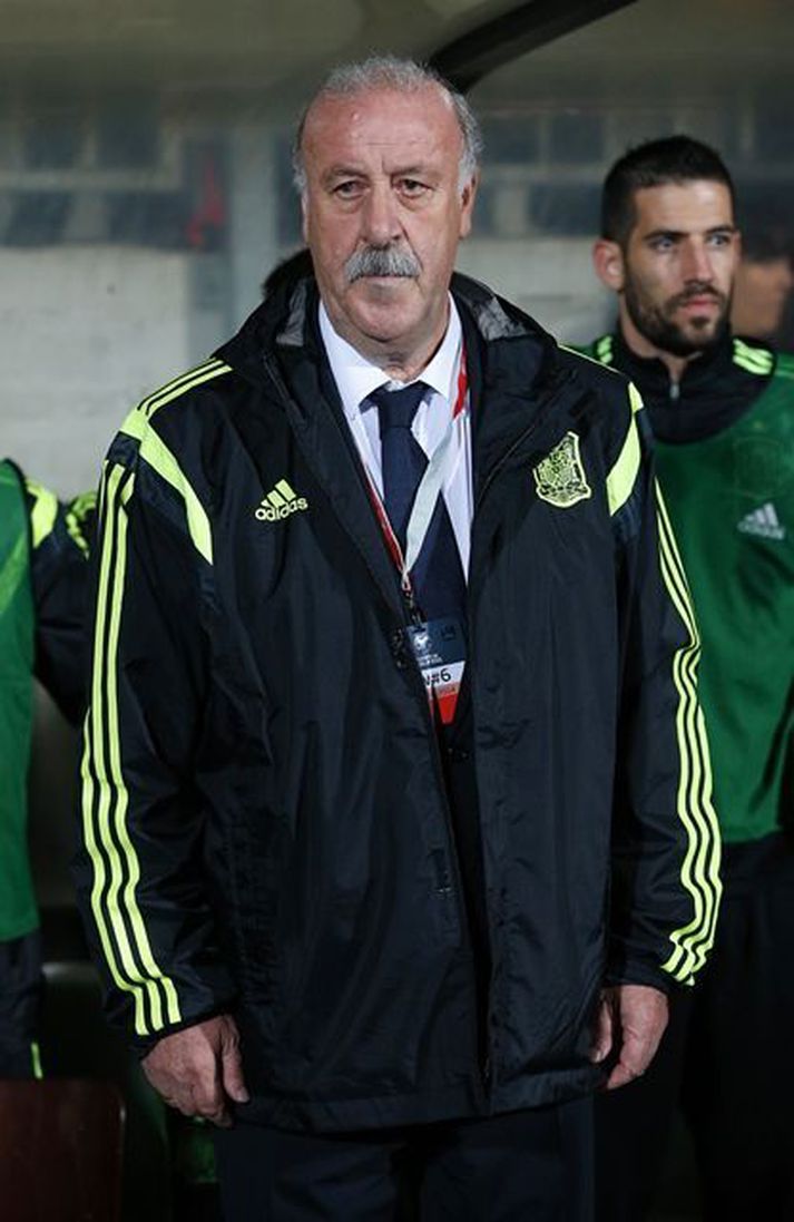 Síðustu mánuðir hafa verið erfiðir hjá Del Bosque