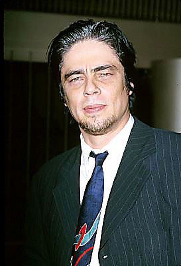 Del Toro fer 
með hlutverk Che Guevara í nýrri kvikmynd.