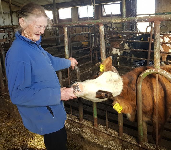 Guðmunda Tyrfingsdóttir mjólkaði kýr og sinnti skepnum áratugum saman. Hún slasaðist skömmu fyrir jól og nú er búið að aflífa allar skepnur hennar.