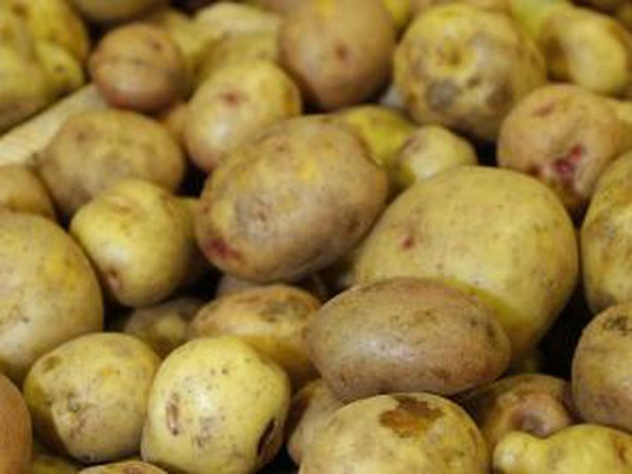 Sprengingin varð í kartöfluverksmiðju í Þykkvabæ.