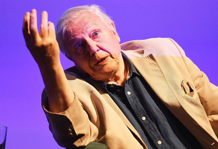 David Attenborough segir að mannkynið hafi ríka skyldu til að huga að höfum heimsins.