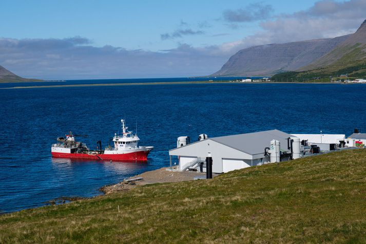 Strokið varð við Tálknafjarðarhöfn.