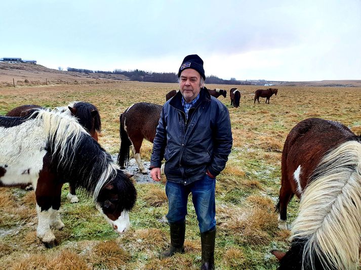 Kristinn Guðnason segist aldrei hafa kynnst hestum áður, sem hafa ræktað sig sjálfir í tugi ára. Það kemur honum skemmtilega á óvart hvað hestarnir líta vel út og eru gæfir eftir allan þennan tíma.