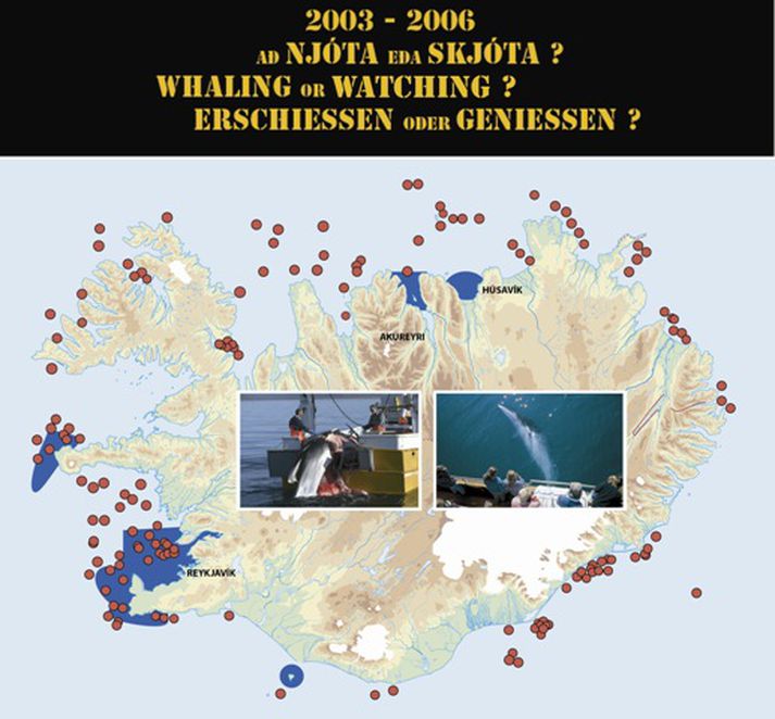 Hvalaskoðunarsamtökin segja að þetta kort af Íslandi, sem sett sé saman upp úr gögnum af vef Hafrannsóknastofnunar um veiddar hrefnur á síðustu fjórum árum, sýni að vísindaveiðar hafi farið fram innan hvalaskoðunarsvæða, sem eru merkt bláu.