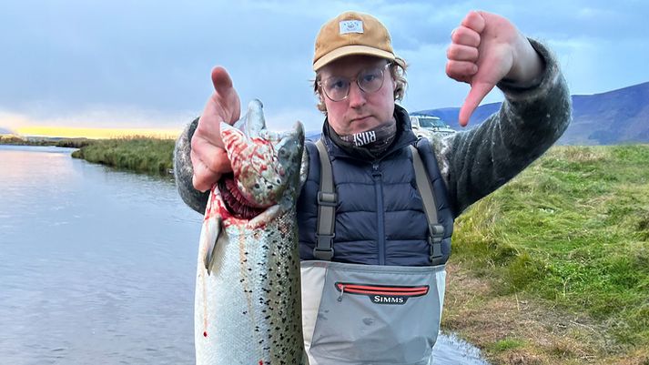 Goss ber sterkar taugar til Íslands og fólksins sem starfar við að þjónusta stangveiðimenn. Honum hrýs hugur við tilhugsunina um erfðablöndun norskra eldislaxa og þess villta íslenska.