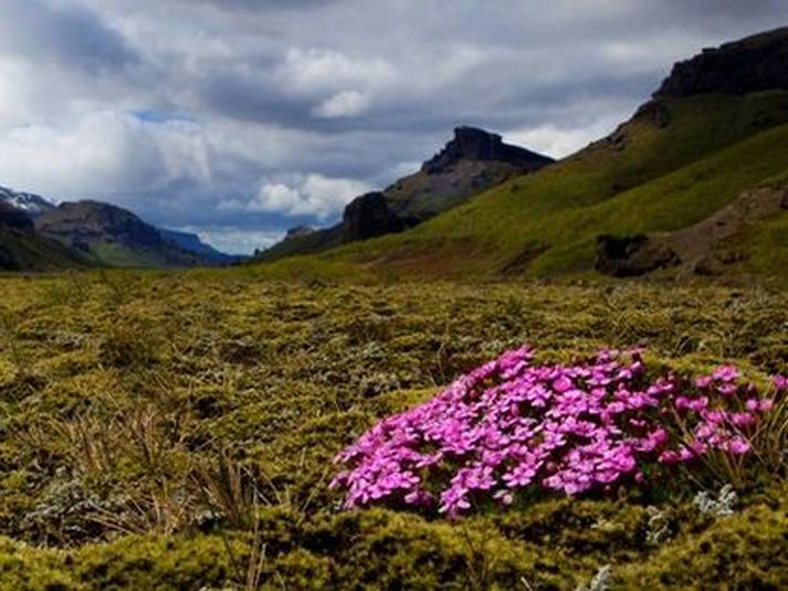 Þórsmörk. Nú þegar farið er að rökkva er hættara við því að göngufólk villist.