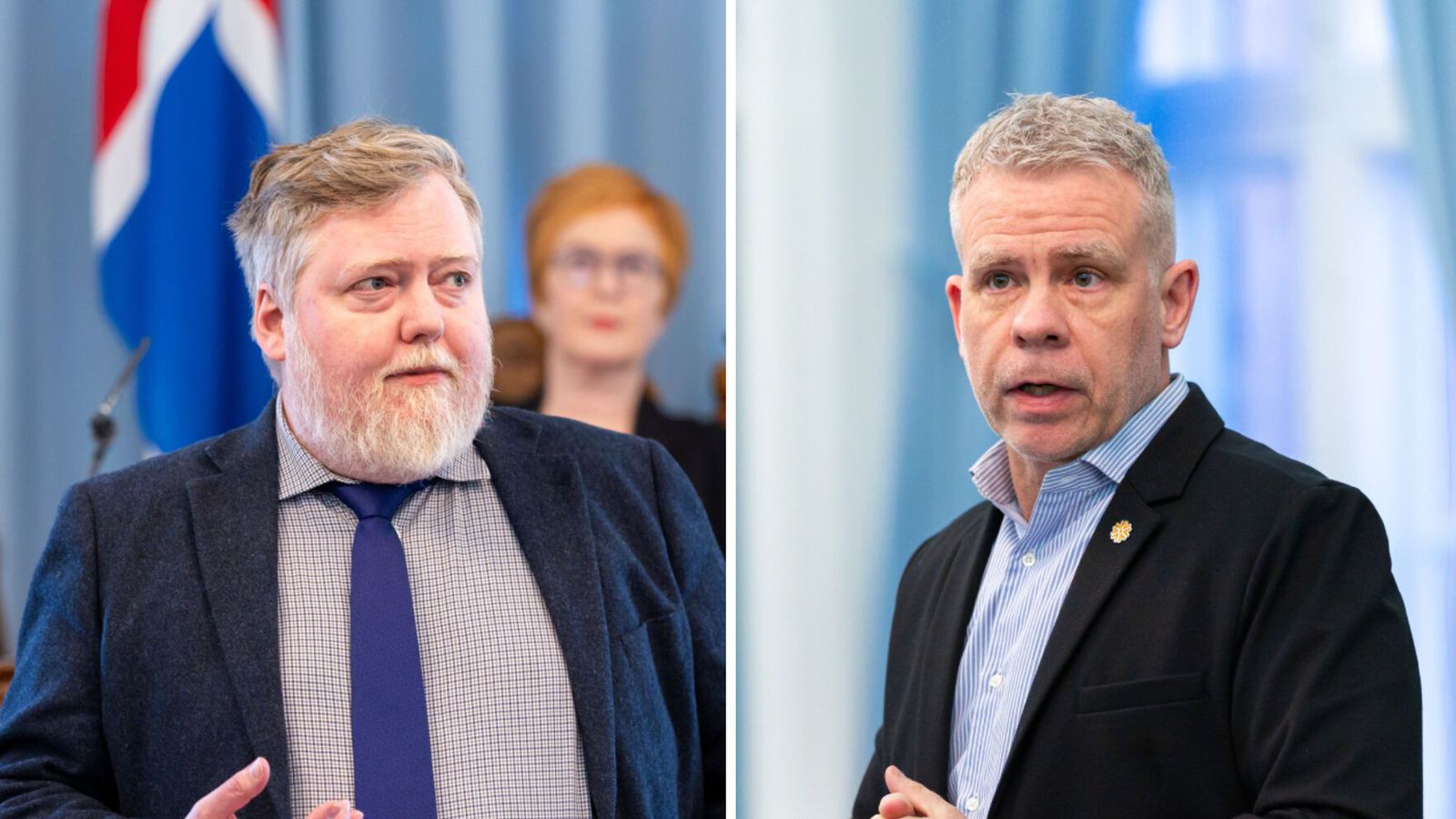 „Það er ekki hægt að plata þjóðina inn í Evrópu­sam­bandið“