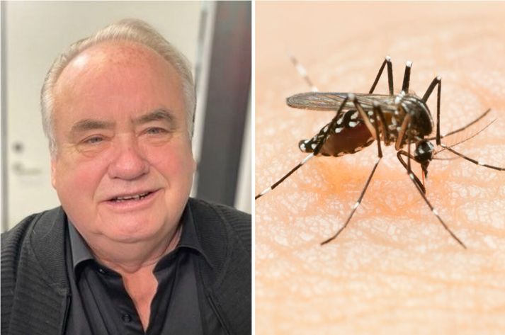 Gísli Már Gíslason líffræðingur. Moskítófluga til hægri.