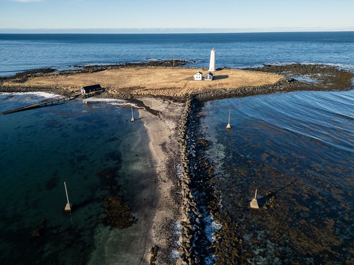Á svæðinu er mikið líf fugla og sjávardýra. 
