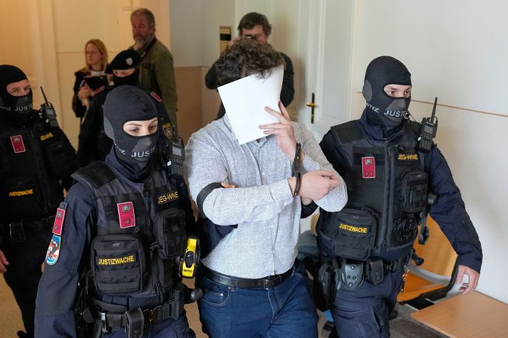 Hinn grunaði var leiddur fyrir héraðsdómara í Wiener Neustadt í dag. 