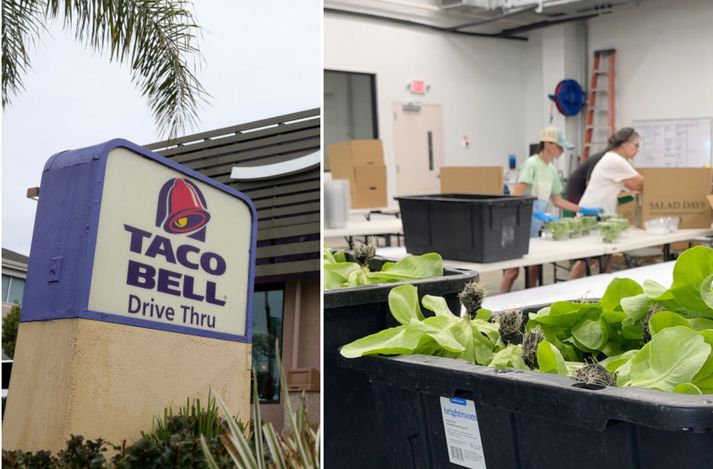 Salat frá birgjanum hefur verið tekið úr sölu á öllum stöðum keðjunnar Taco Bell.