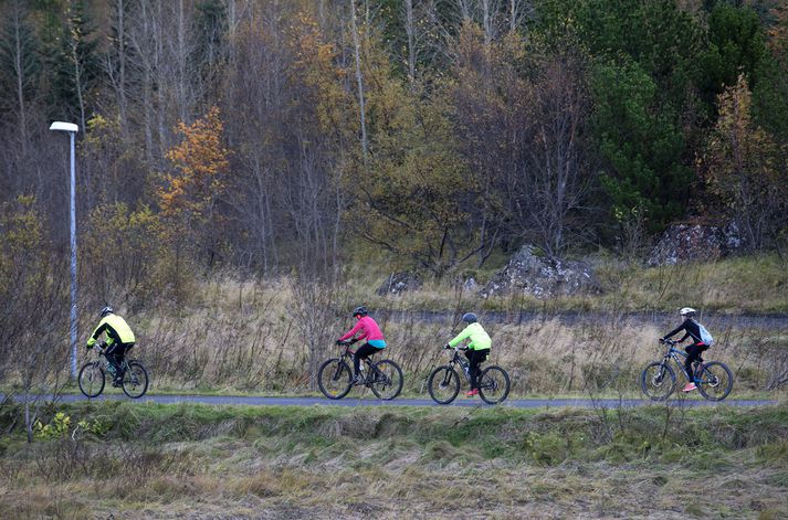 Í grunninn eru verkefnin hugsuð sem hvati fyrir stofnanir í umhverfismálum - og til að fara betur með fé. 