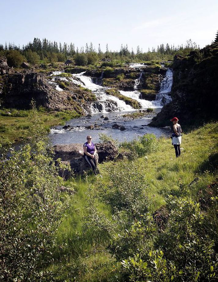 Margt býr undir laufinu í Elliðaárdal. 