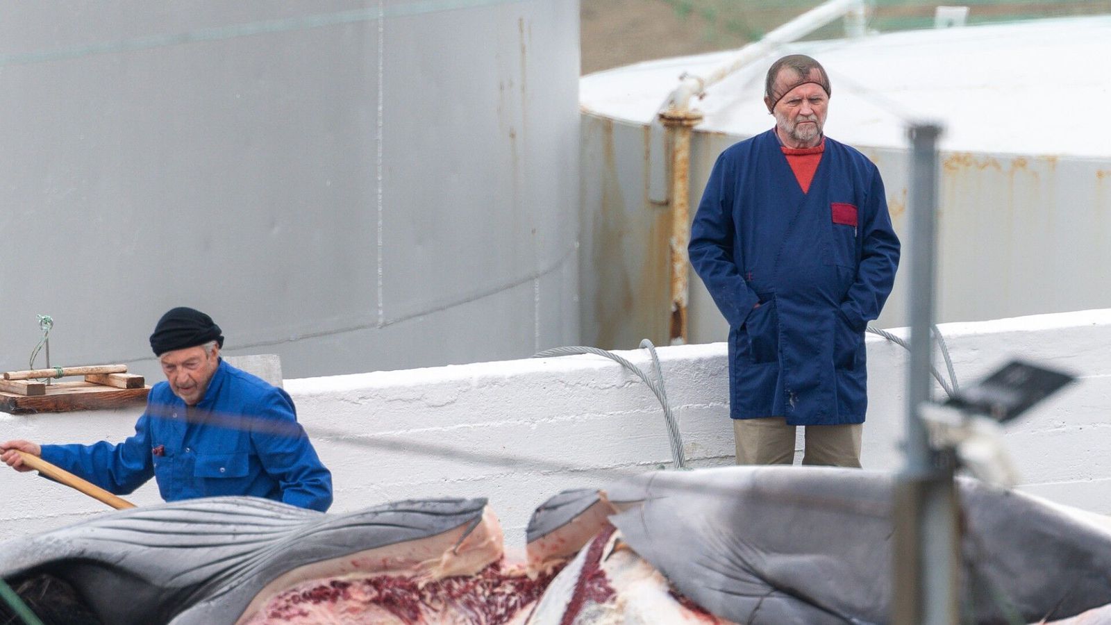 Myndir úr Hval­firði: Lang­reyðar dregnar á land