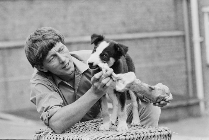 John Noakes og Shep.
