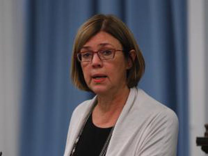 Álfheiður Ingadóttir segir það mjög skrýtið ef að einstakir starfsmenn eiga að taka ábyrgð á störfum nefndanna. Mynd/ Stefán.