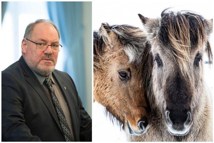 Ásmundur Friðriksson segir blóðbændur sorgmædda vegna umfjöllunar um blóðmerahald. Hestarnir á myndinni tengjast ekki fréttinni.