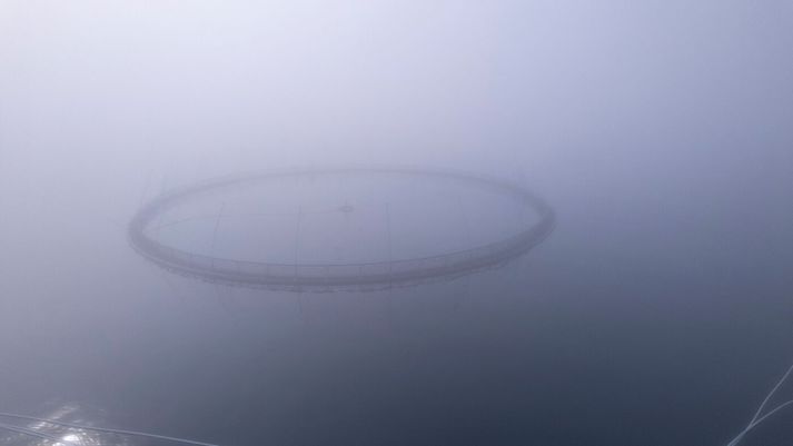 Fyrirtækið taldi ekki líkur á að fiskur hefði strokið og virkjaði því ekki viðbragðsáætlun. Matvælastofnun hefur hins vegar hafið rannsókn. Myndin er úr safni.