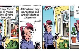 Fréttamynd