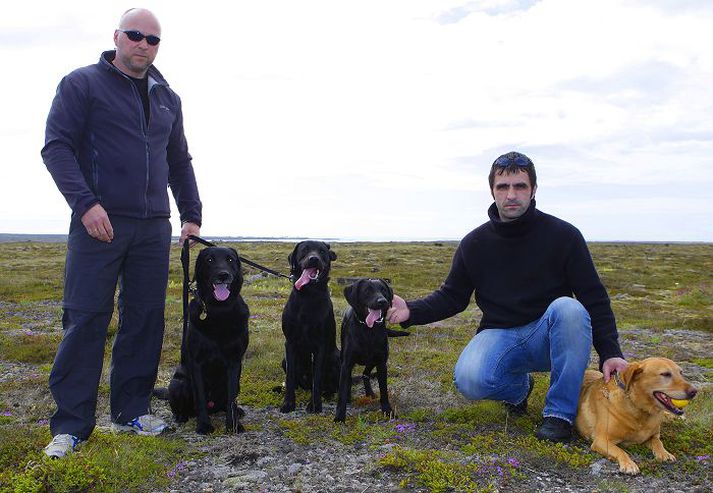 Vinir og vinnufélagar Sigmundur Bjarnason yfirtollvörður t.v. með fíkniefnahundinn Nelson og hvolpinn Pax og Haukur Örn Sigurjónsson rannsóknarlögreglumaður með tíkina Ellu og hvolpinn Clarissu. Fullorðnu hundarnir fara alltaf með sínum mönnum í vinnuna. Fréttablaðið/Vilhelm