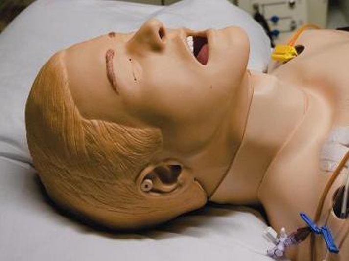 Hermann verður til sýnis á Háskóladaginn.