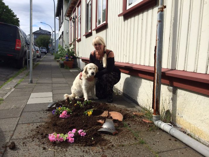 Hér má sjá Helgu við brotna blómapottinn.