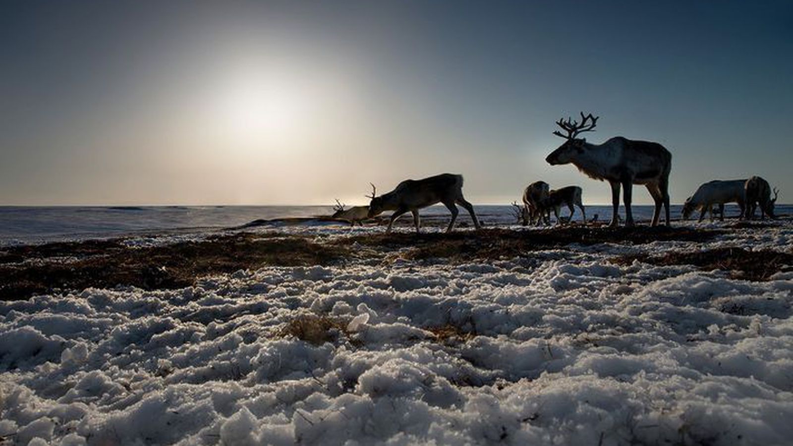 Hreindýratarfur kostar lið­lega 240 þúsund krónur – svo er allt hitt