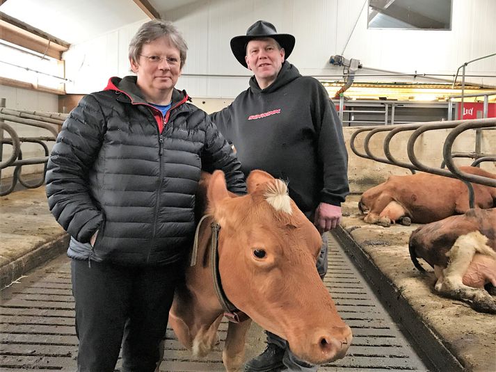 Mestu meðalafurðir á nýliðnu ári voru hjá þeim Gróu Margréti og Sigurði á Brúsastöðum í Vatnsdal. Hér eru þau , ásamt kýrinni Kornu sem mjólkar mikið á sínu níunda mjaltaskeiði.