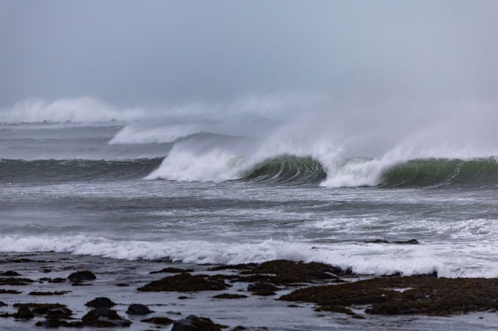 Myndin er úr safni.