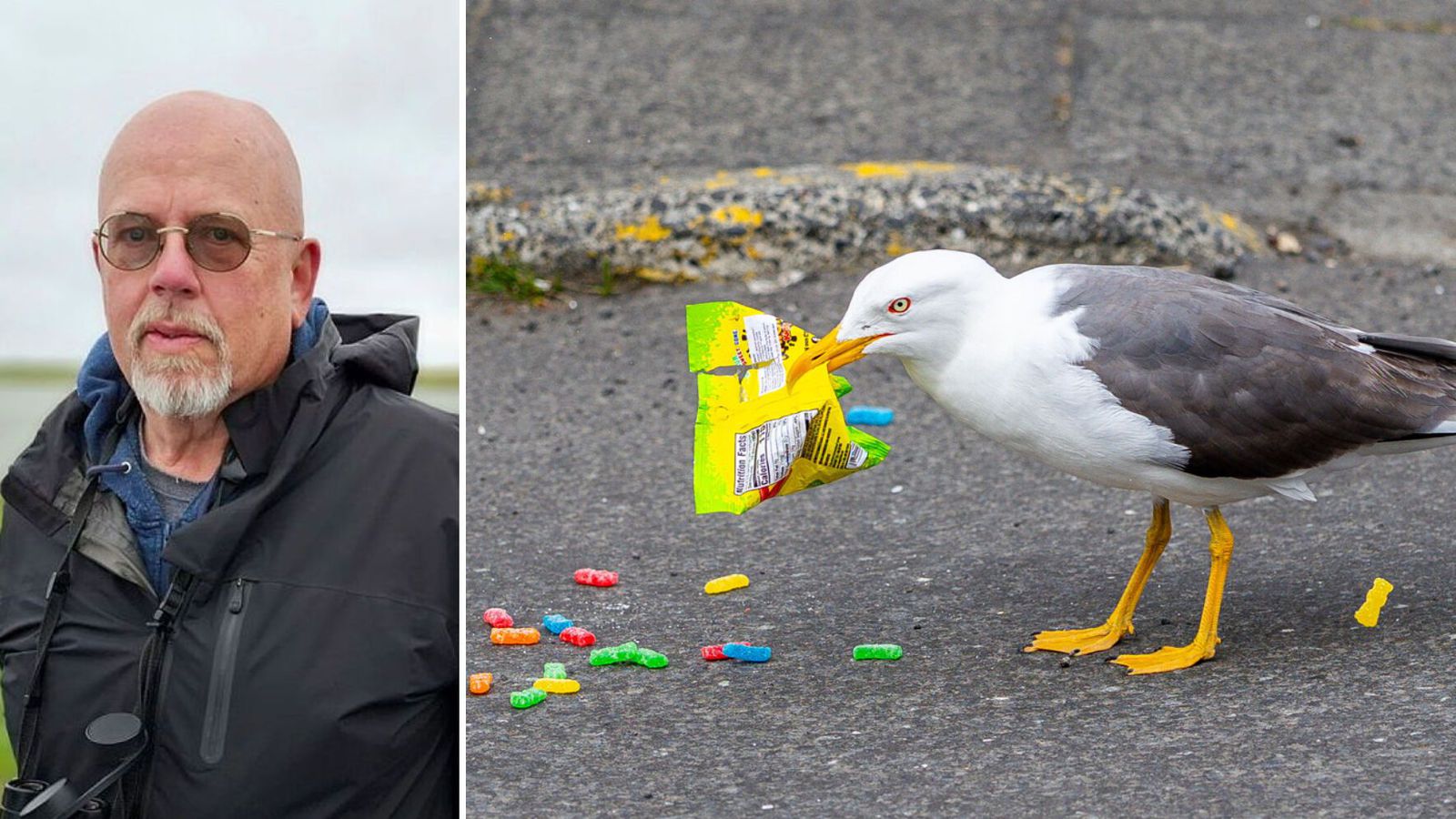 „Ó­harðnaðir ung­lingar sem kunna ekkert á lífið“