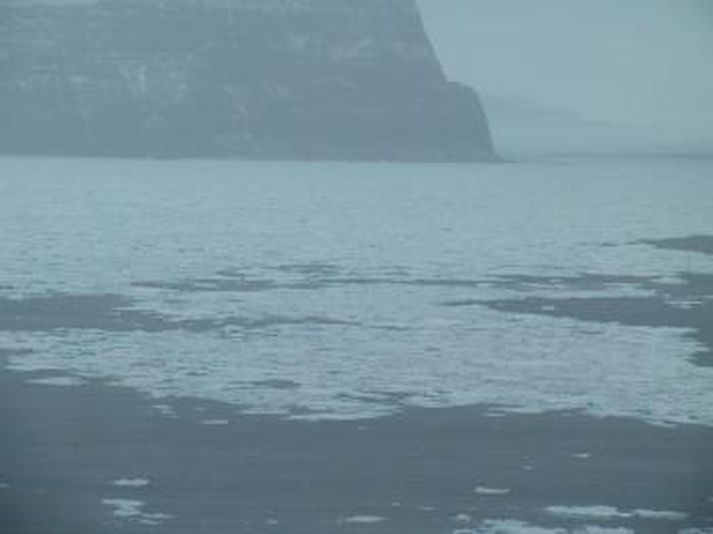 Frá ískönnunarflugi við Horn. Úr myndasafni.