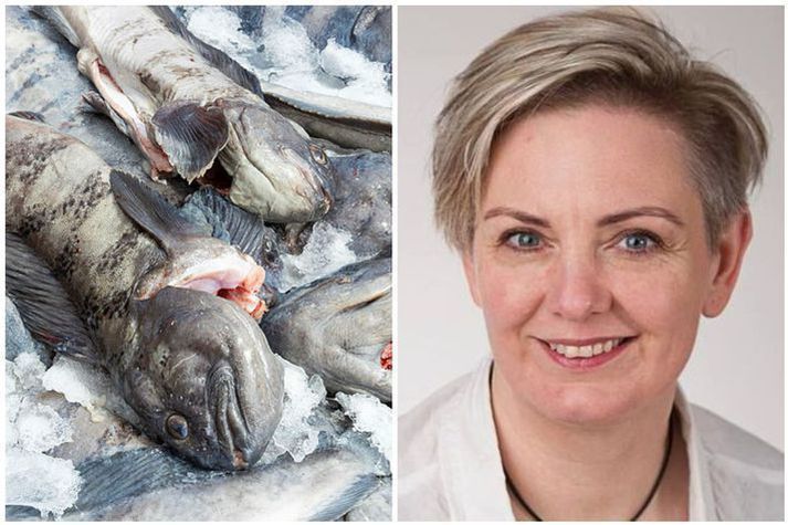 Elín Björg Ragnarsdóttir telur brottkast meira en drónaeftirlit Fiskistofu gefur til kynna.