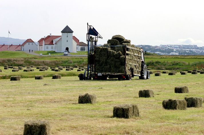 Heyskapur á Álftanesi.