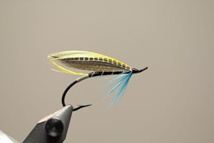 Léttklædd Blue Charm