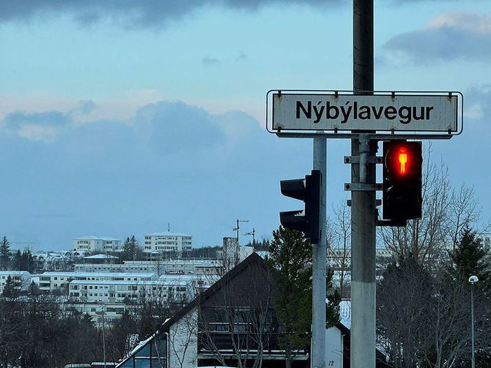 Móðir drengsins er ákærð fyrir manndráp og stórfellt brot í nánu sambandi.