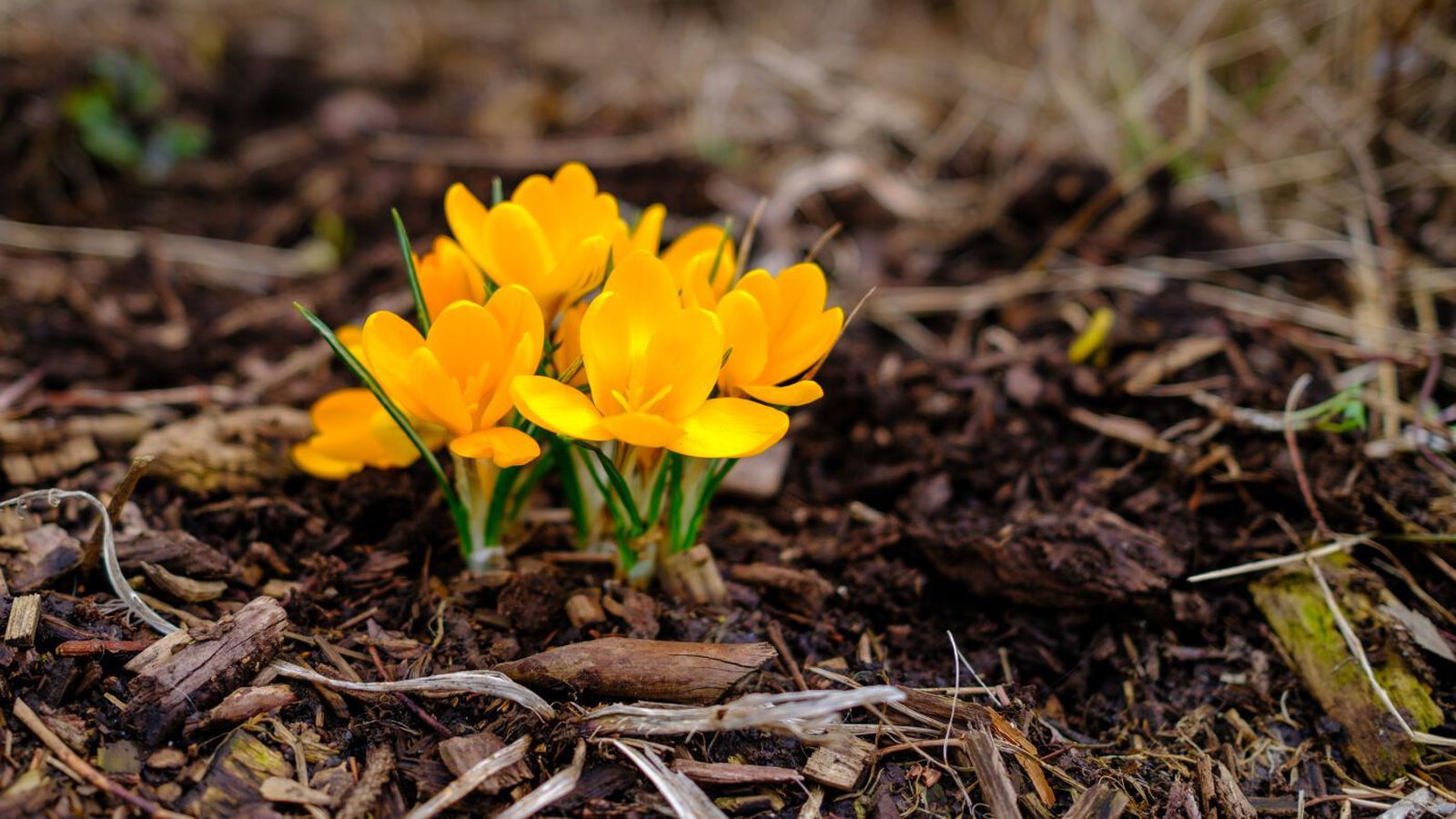 Enn má búast við slyddu eða snjó­komu