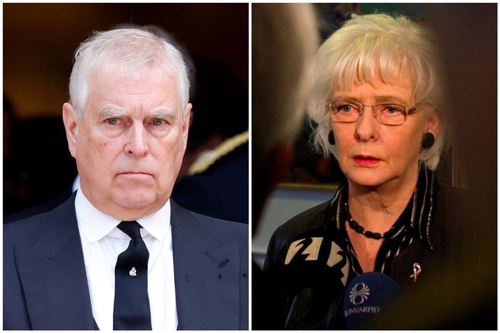 Samkvæmt tölvupóstsamskiptum höfðu Andrew Mountbatten-Windor og Jóhanna Sigurðardóttir nýlega átt fund rétt áður en hann óskaði eftir sérstökum gögnum um Icesave-málið.