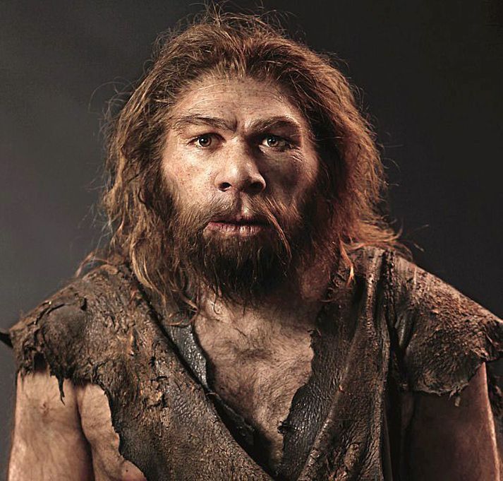 Líkan af neanderdals­manninum.