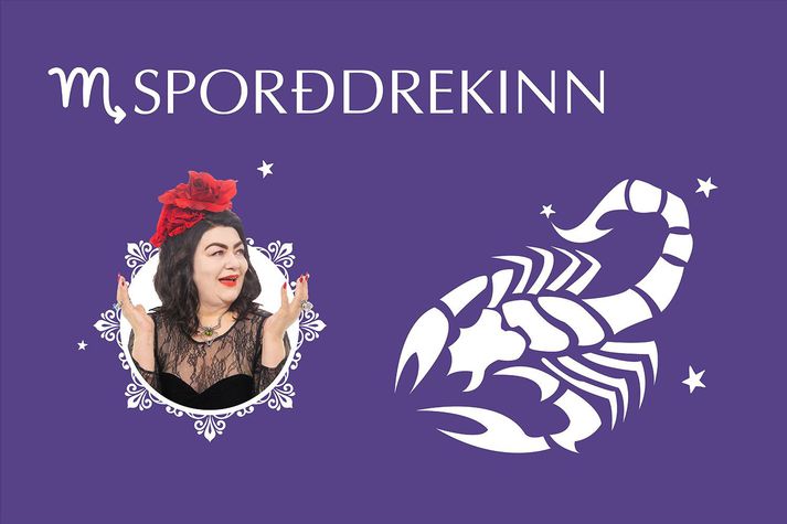 sporddreki