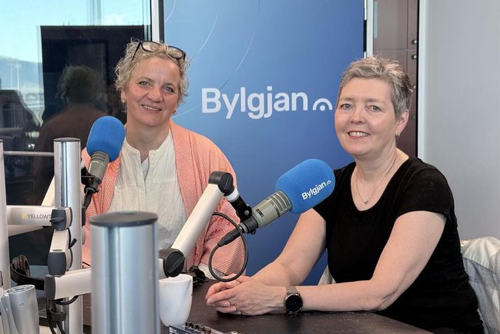 Ráð­gátan um rauð­magann og fölsuðu verkin í um­ferð