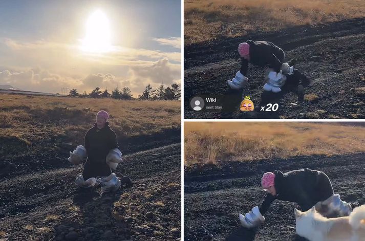 Axel er enn að skríða.
