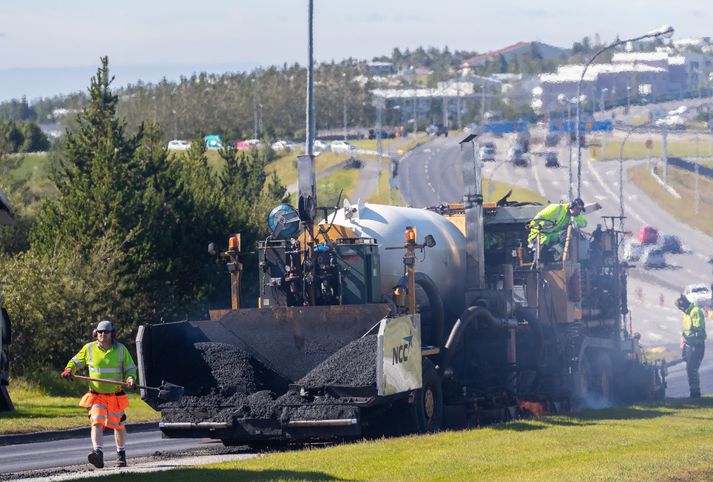 Sigurður segir að samvinnuleiðin þurfi að koma til viðbótar við önnur verkefni stjórnvalda.