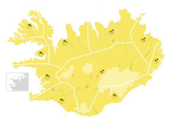 Nýja árið byrjar á alvöru íslensku vetrarveðri.