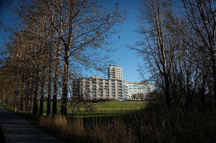 Faðir Margrétar var lagður inn á Landspítalann nokkrum dögum fyrir árásina örlagaríku. Þar dvaldi hann í tvo daga eftir enn eina árás dóttur sinnar.